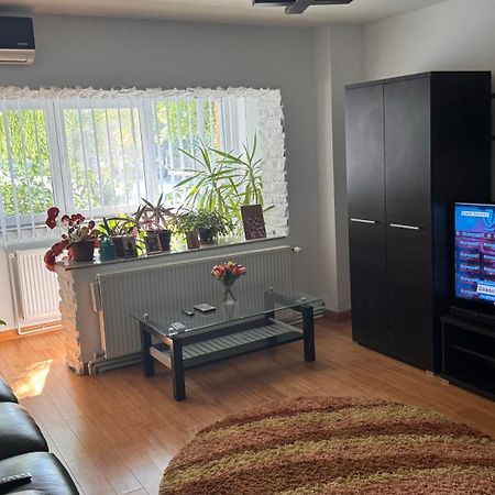 Apartament 3 Camere Otopeni Zewnętrze zdjęcie